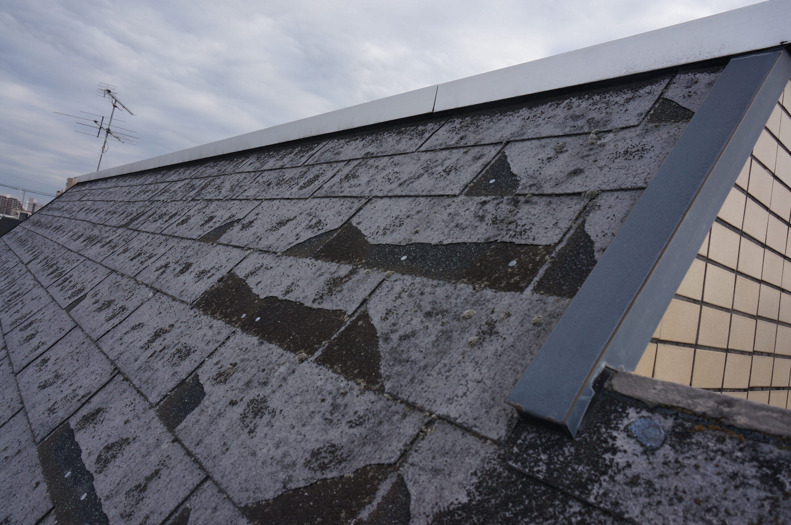 羽村市で屋根雨樋の住宅調査を実施